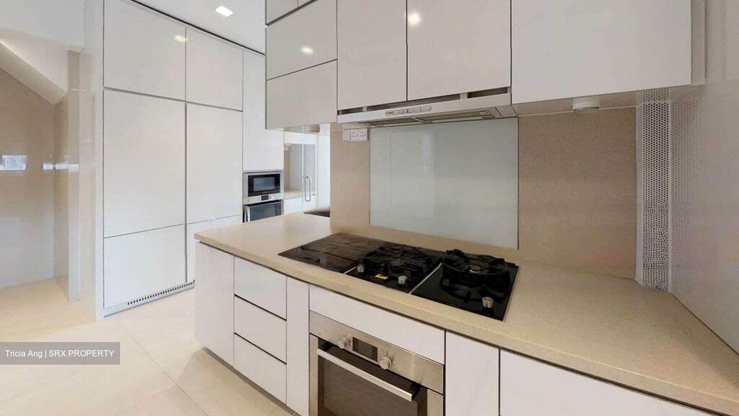 Skyline @ Orchard Boulevard (D9), Apartment #586521381